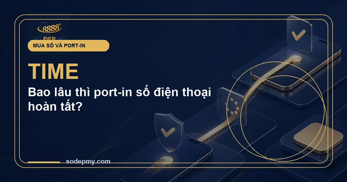 Bao lâu thì port-in số điện thoại hoàn tất?