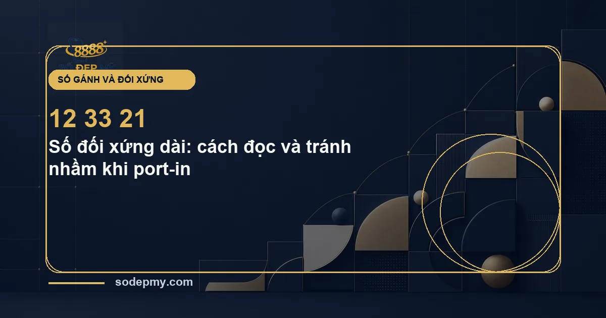 Số đối xứng dài: cách đọc và tránh nhầm khi port-in